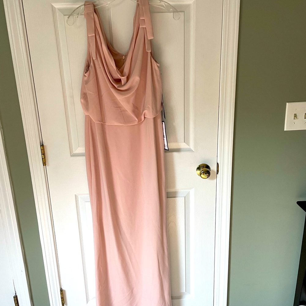 Adrianna Papell Blush Formal Dress